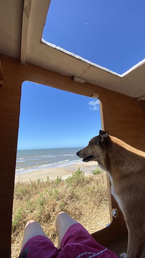 Vista al mar desde adentro de la Bicicasa, con el perro